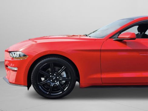 Used 2019 Ford Mustang Coupe w/ Equipment Group 101A image 12