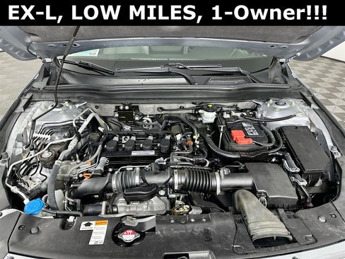 Used 2019 Honda Accord EX-L image 31