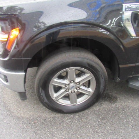 Used 2025 Ford F150 XLT w/ Equipment Group 301A Standard RWD image 6