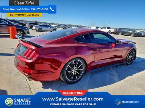 Used 2016 Ford Mustang Coupe w/ Interior & Wheel Package image 4