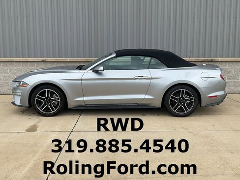 Used 2022 Ford Mustang Premium image 2