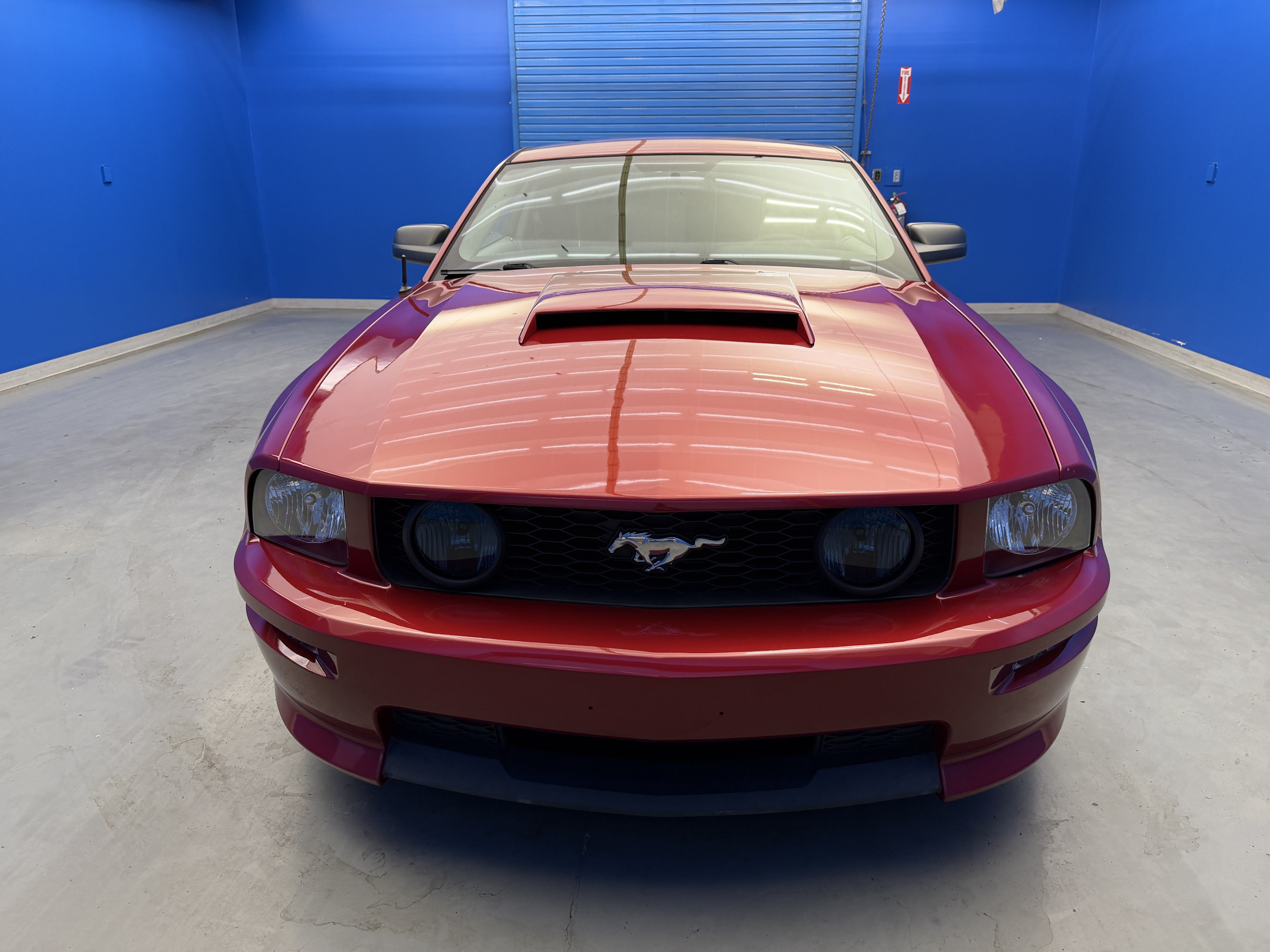Used 2008 Ford Mustang GT RWD image 3