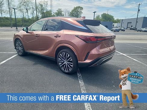 Used 2024 Lexus RX 350 Premium Plus w/ Convenience Package AWD/4WD image 3