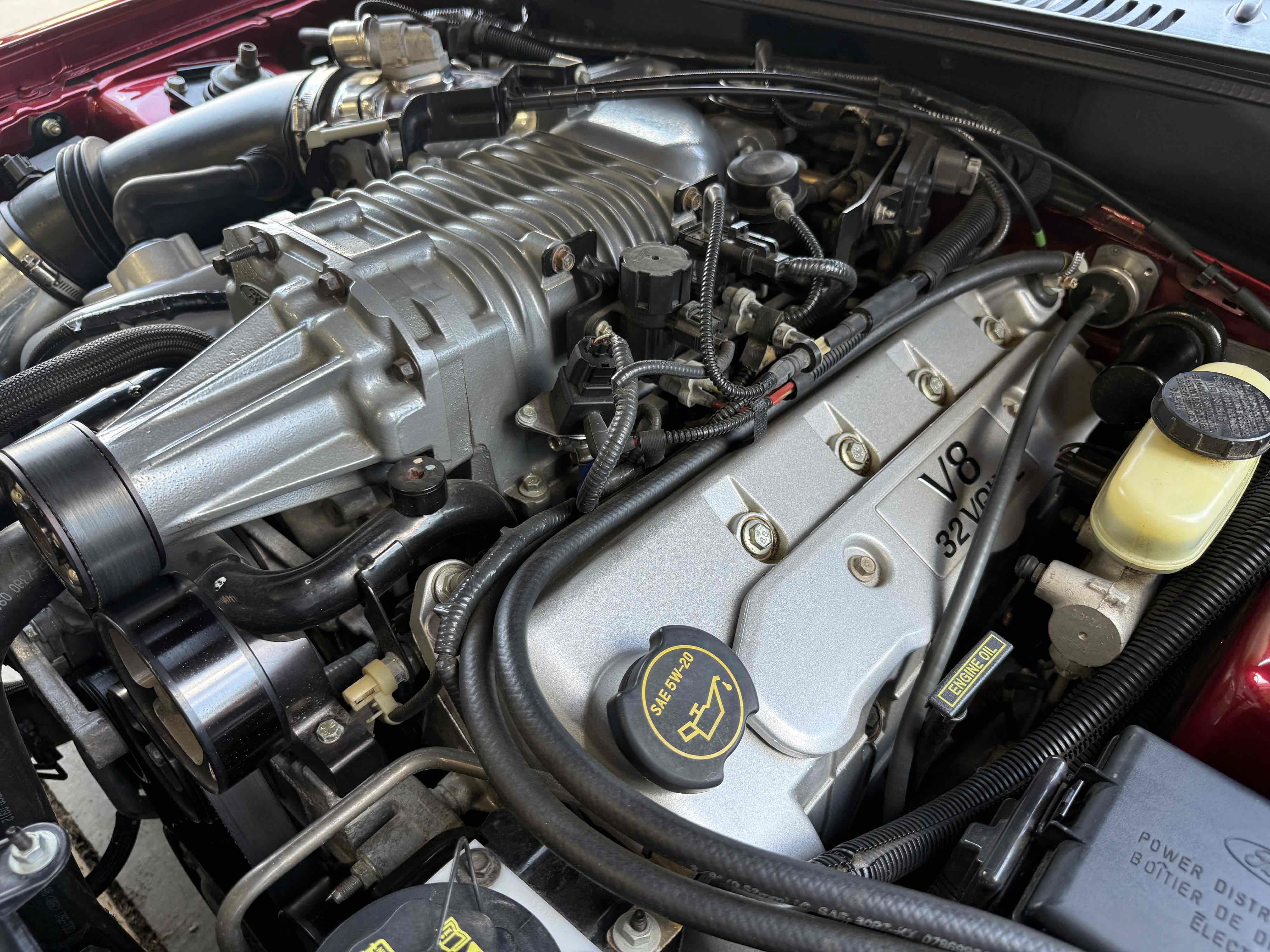 Used 2003 Ford Mustang Cobra RWD image 69