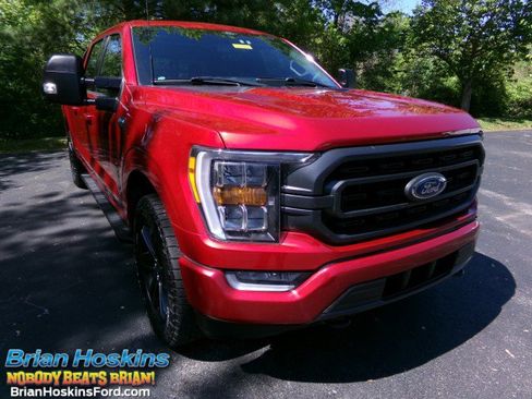 Used 2021 Ford F150 XLT w/ Equipment Group 302A High AWD/4WD image 1