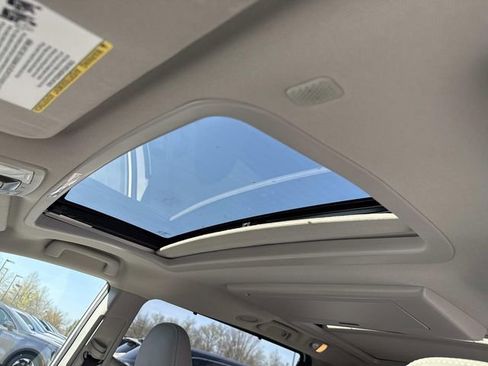 Used 2020 Toyota Sienna Limited Premium image 16