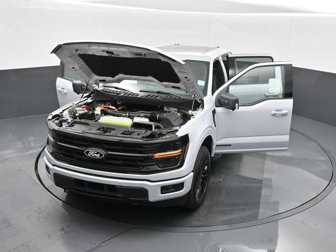 New 2025 Ford F150 XLT w/ Equipment Group 303A High image 27