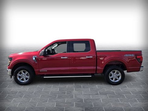 Used 2025 Ford F150 XLT w/ Equipment Group 301A Standard AWD/4WD image 4