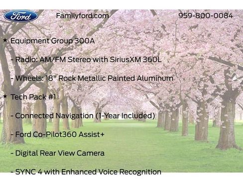 New 2026 Ford Escape ST-Line w/ Tech Pack #1 image 18