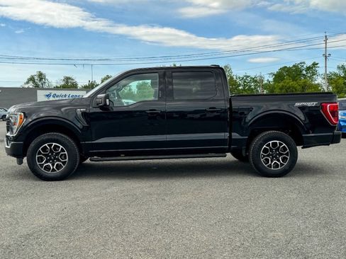 Used 2023 Ford F150 XLT w/ Equipment Group 302A High AWD/4WD image 6