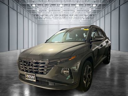 Used 2024 Hyundai Tucson Limited