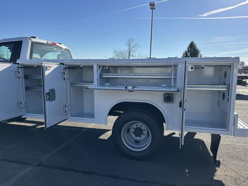 New 2024 Ford F350 XL w/ Snow Plow Prep Package image 10