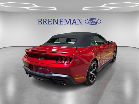 Used 2024 Ford Mustang Premium image 5