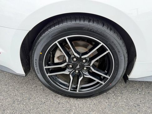 Used 2019 Ford Mustang Coupe w/ Equipment Group 101A RWD image 15