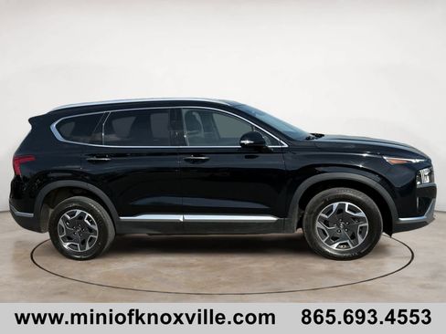 Used 2022 Hyundai Santa Fe Blue AWD/4WD image 2