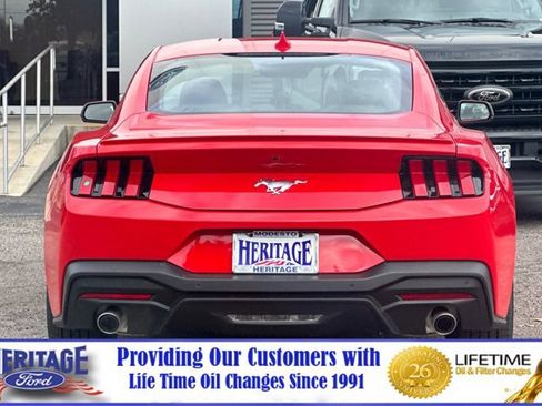 New 2024 Ford Mustang Premium image 5