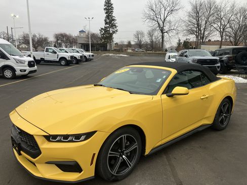 Used 2024 Ford Mustang Premium image 3