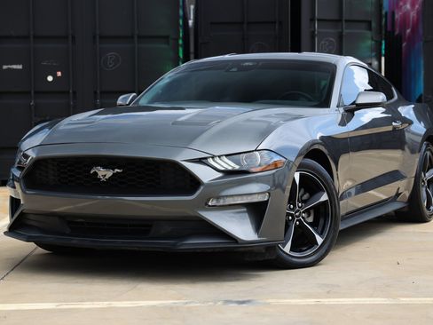 Used 2023 Ford Mustang Coupe w/ Equipment Group 101A RWD image 1
