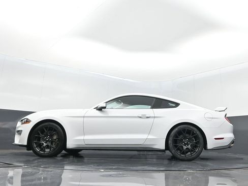 Used 2019 Ford Mustang Coupe w/ Ecoboost Performance Package image 14