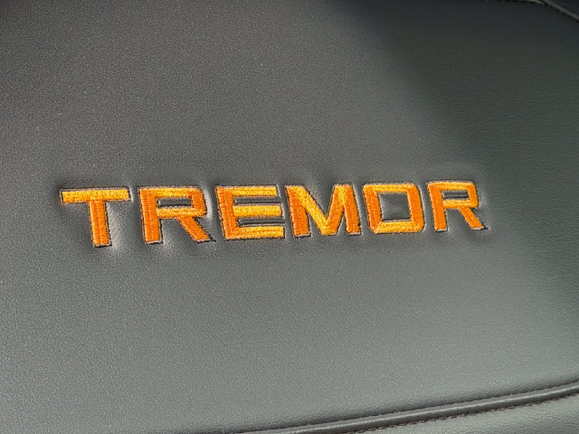 Used 2026 Ford Expedition Tremor AWD/4WD image 17