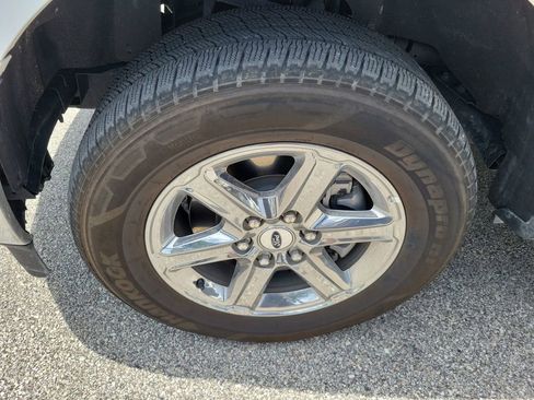 Used 2025 Ford F150 XLT w/ Equipment Group 301A Standard RWD image 6