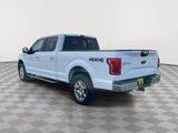 Used 2016 Ford F150 XLT w/ Equipment Group 302A Luxury image 5