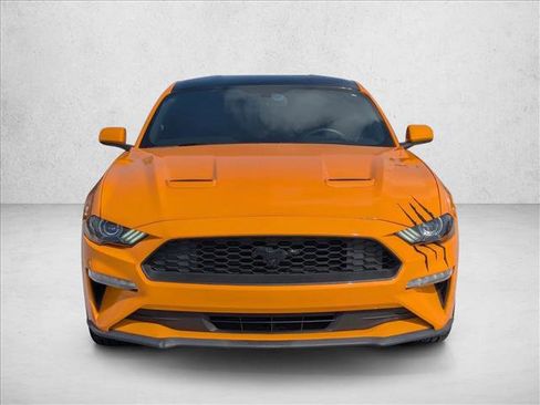 Used 2019 Ford Mustang Coupe w/ Equipment Group 101A RWD image 2