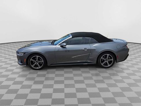 Used 2024 Ford Mustang Premium RWD image 5
