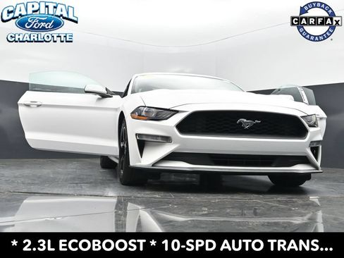 Used 2019 Ford Mustang Coupe RWD image 35