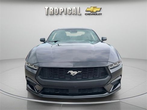 Used 2024 Ford Mustang EcoBoost image 8