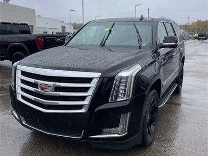 Used 2019 Cadillac Escalade Luxury