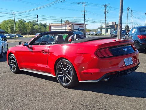 Used 2023 Ford Mustang Premium image 6
