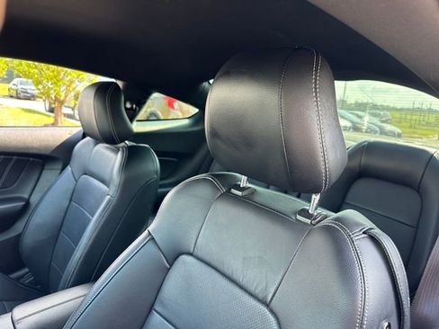 Used 2015 Ford Mustang Premium w/ Equipment Group 201A RWD image 14