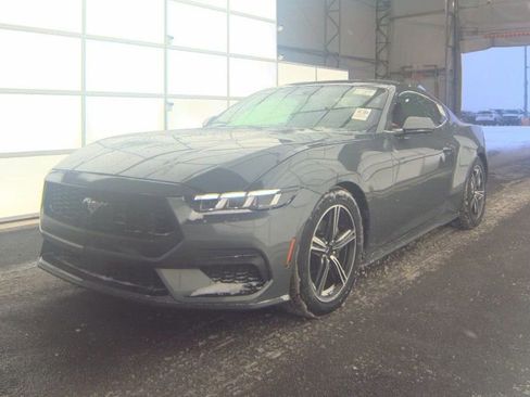 Used 2024 Ford Mustang Premium image 1