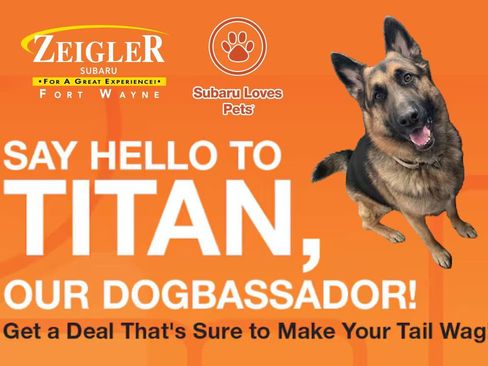 Used 2023 Subaru Legacy Premium image 13