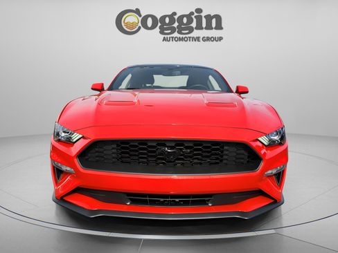 Used 2019 Ford Mustang Coupe w/ Equipment Group 101A image 8