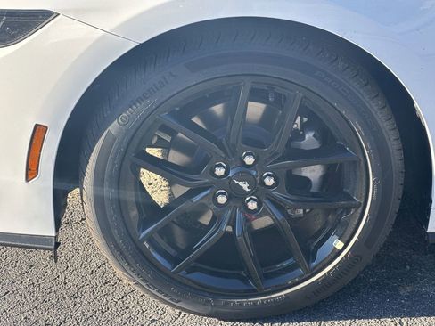 New 2026 Ford Mustang Coupe w/ Mustang Nite Pony Package image 11