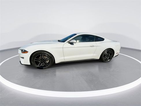 Used 2019 Ford Mustang Coupe w/ Equipment Group 101A image 4