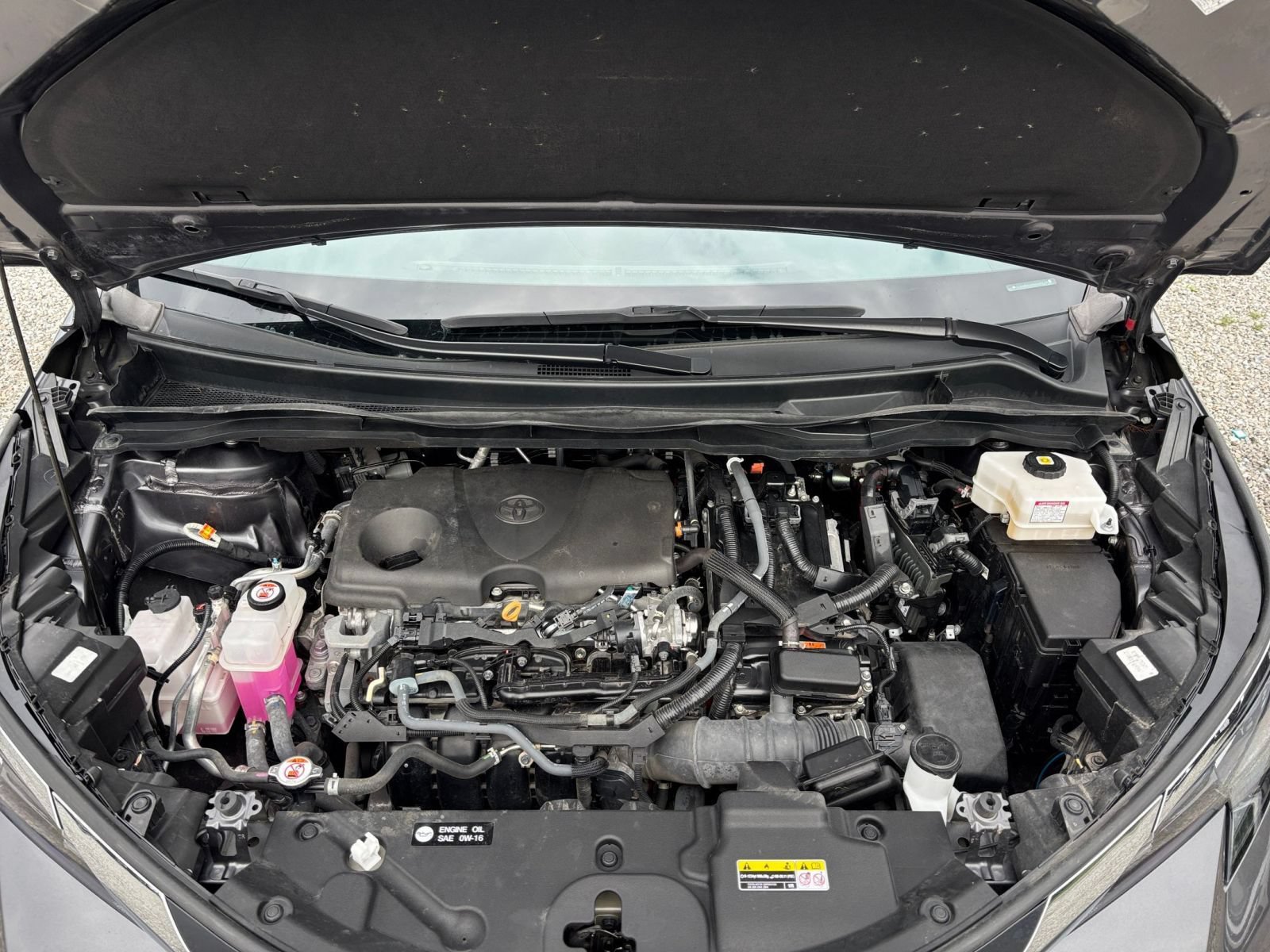Used 2025 Toyota Sienna XLE FWD image 35