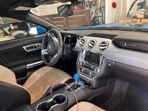 Used 2017 Ford Mustang Premium w/ Enhanced Security Package image 4