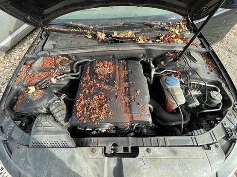 Used 2011 Audi A4 2.0T Premium image 50