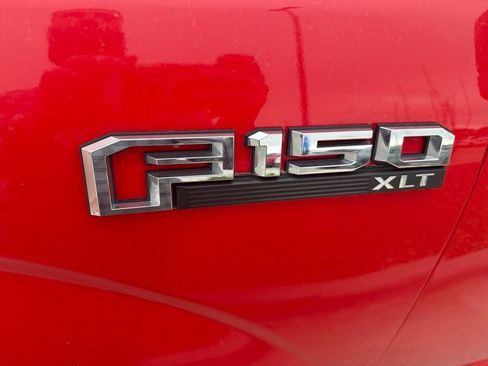 Used 2019 Ford F150 XLT w/ Equipment Group 302A Luxury AWD/4WD image 3