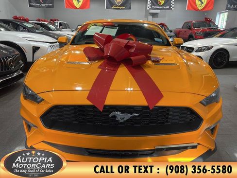 Used 2019 Ford Mustang Coupe RWD image 8