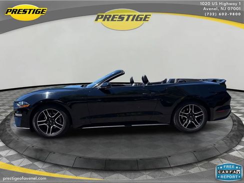 Used 2019 Ford Mustang Premium RWD image 8