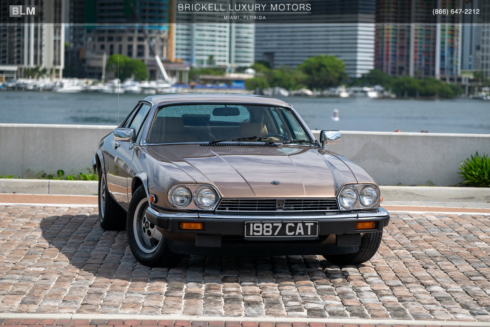 Used 1987 Jaguar XJS V12 Coupe RWD image 2