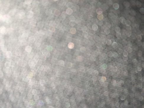 New 2025 Nissan Frontier PRO-4X w/ Interior Protection Package image 22