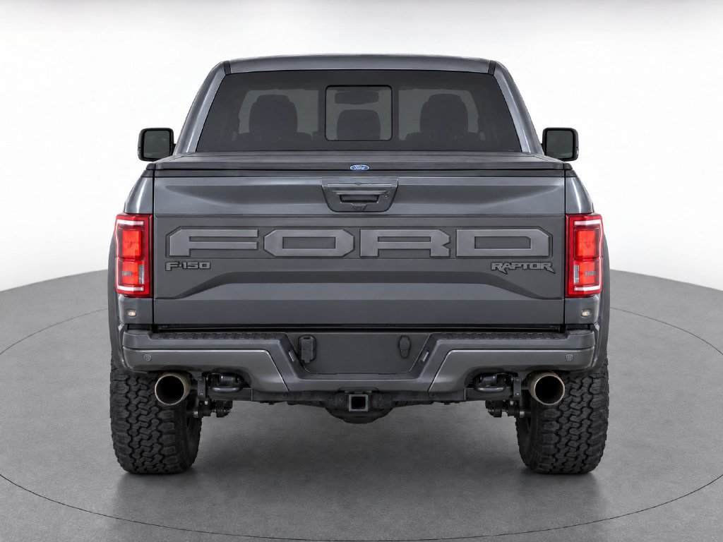 Used 2019 Ford F150 Raptor w/ Equipment Group 802A Luxury AWD/4WD image 8