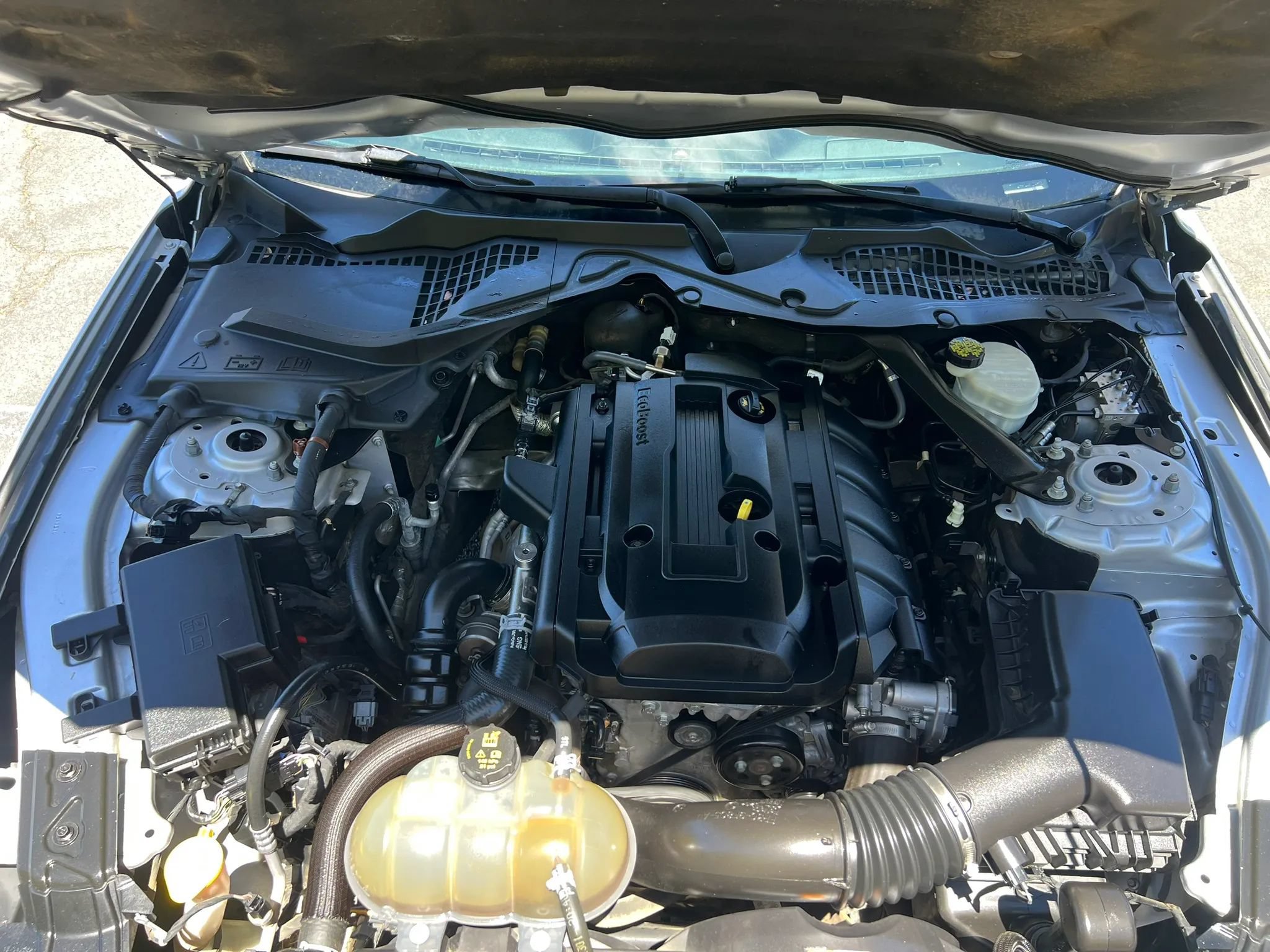 Used 2017 Ford Mustang Premium RWD image 9