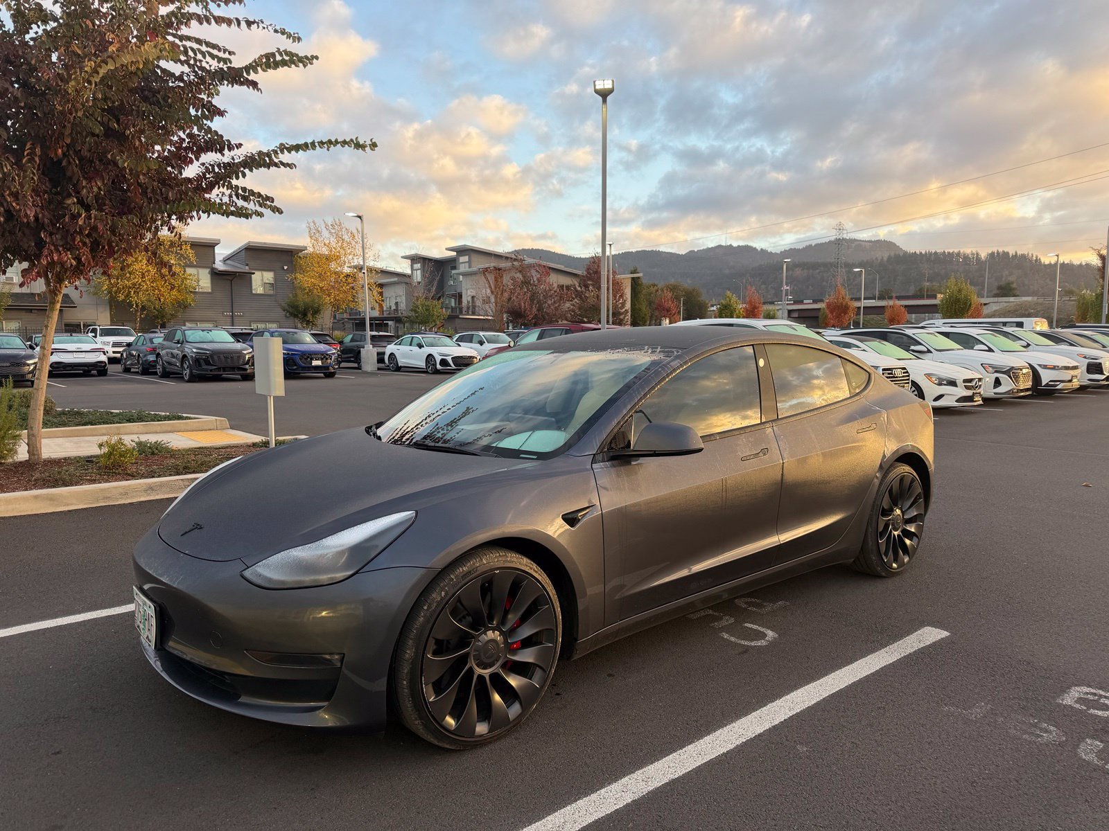 Used 2023 Tesla Model 3 Performance AWD/4WD image 1