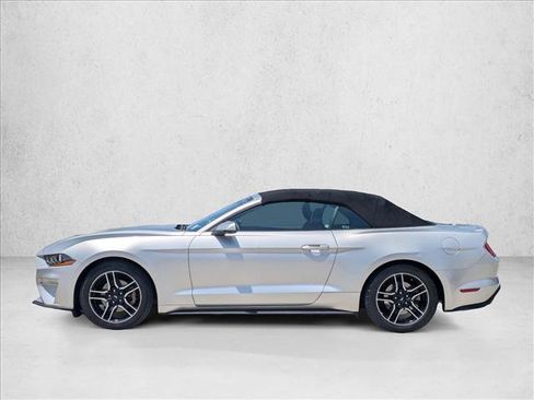 Used 2019 Ford Mustang Premium RWD image 9
